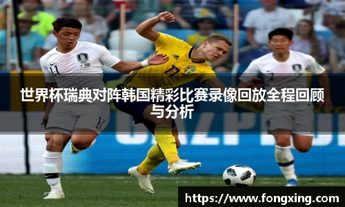 世界杯瑞典对阵韩国精彩比赛录像回放全程回顾与分析